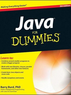 Java For Dummies – eBook
